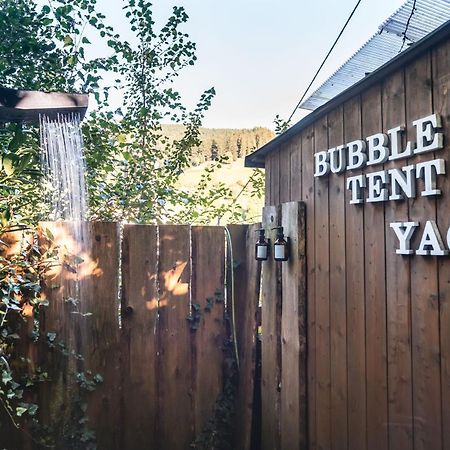 Living Timeless- Bubble Tent Elzach- Schlafen Unterm Sternenhimmel エクステリア 写真